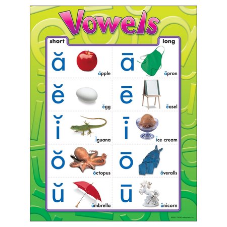 TREND ENTERPRISES Vowels Learning Chart, 17in x 22in T38032